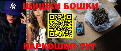 индика Жуковский
